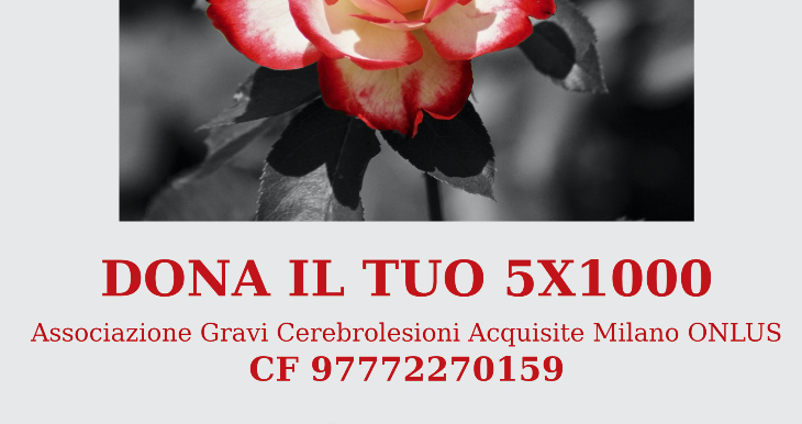 Associazione Gravi Cerebrolesioni Acquisite Milano -  ONLUS